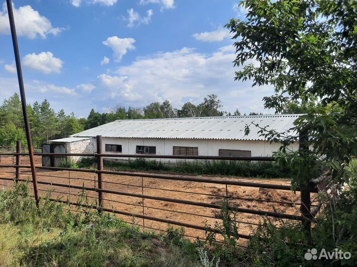 Производство кумыса