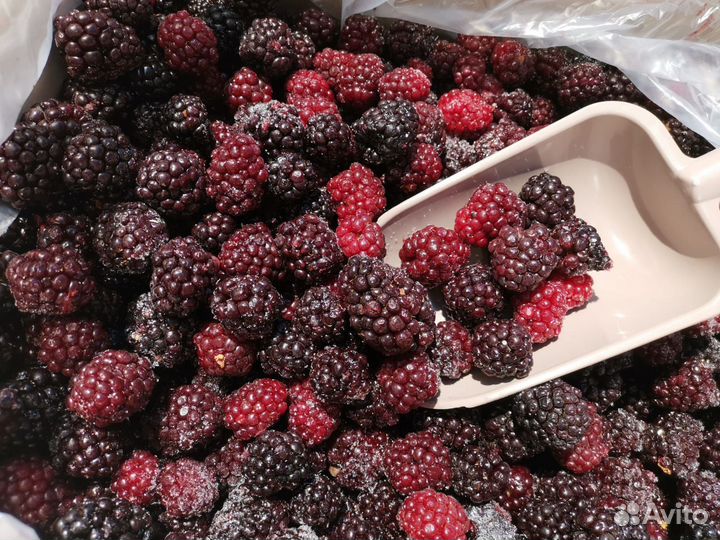Ежемалина замороженная премиум - класса (целая)