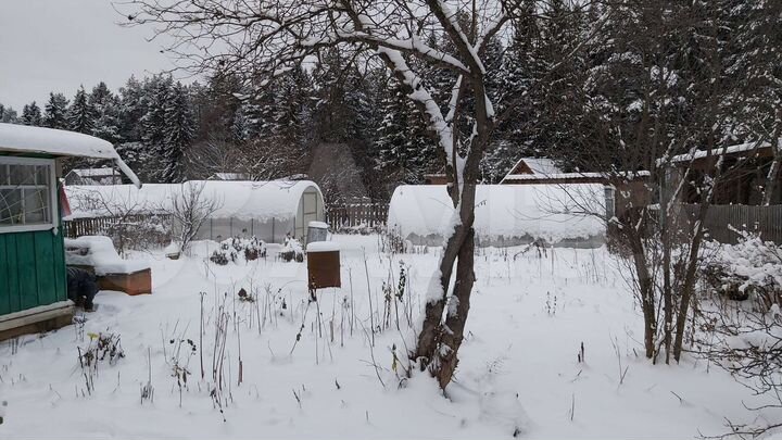 Дача 50 м² на участке 5 сот.