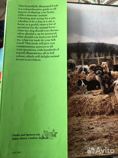 Книга на английском о домашних животных