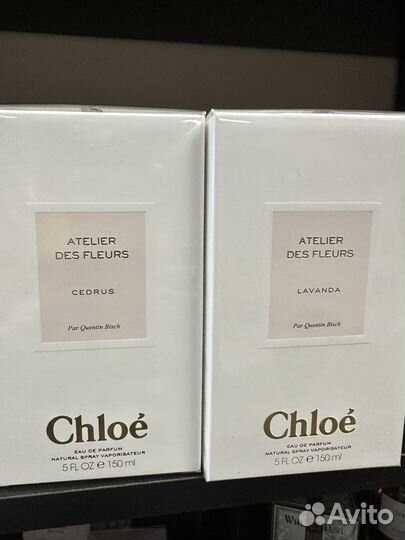Шикарные Atelier des Fleurs, Chloe.обновлено