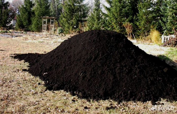 Чернозём Тамбов