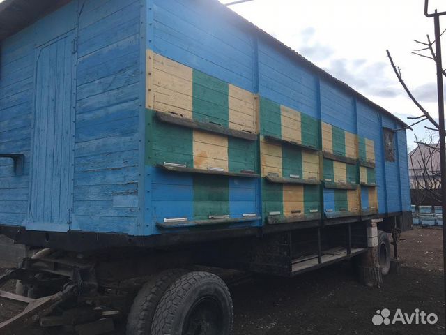 Продажа павильона для пчёл купить в Карабулаке | Животные и зоотовары ...