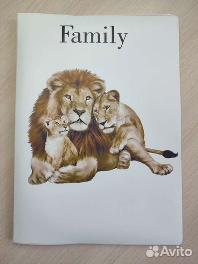 Семейная папка для документов