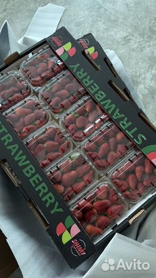 Клубника свежая