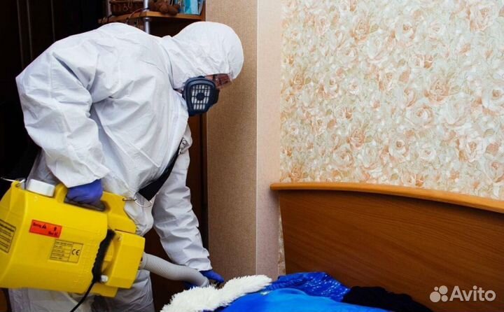 Средство для Уничтожения клопов тараканов плесени клещей