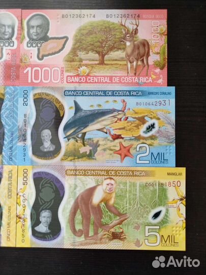 Коста-Рика набор банкнот 3 шт UNC (Полимерные)