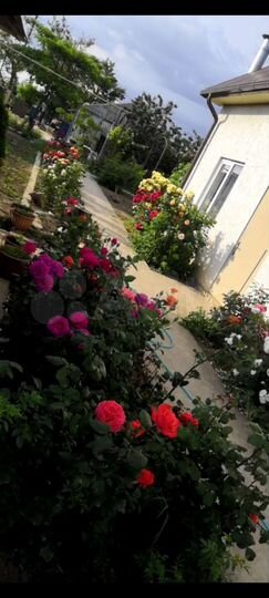 Дом 80 м² на участке 8 сот.