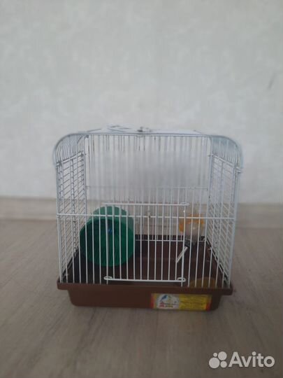 Маленькая клетка для маленьких грызунов