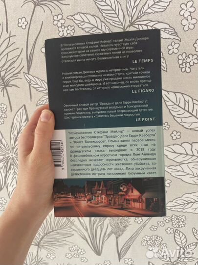 Исчезновение стефани мейлер