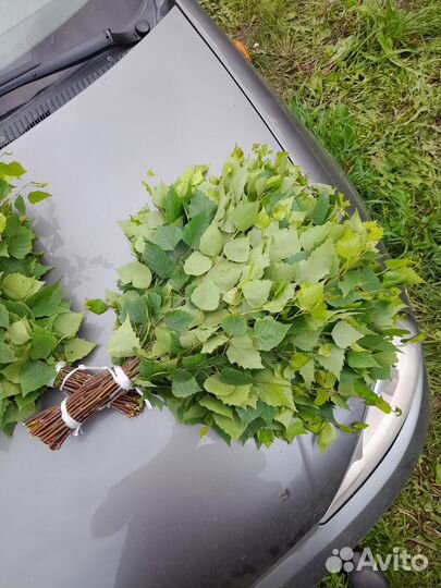 Веники для бани береза, дуб, липа