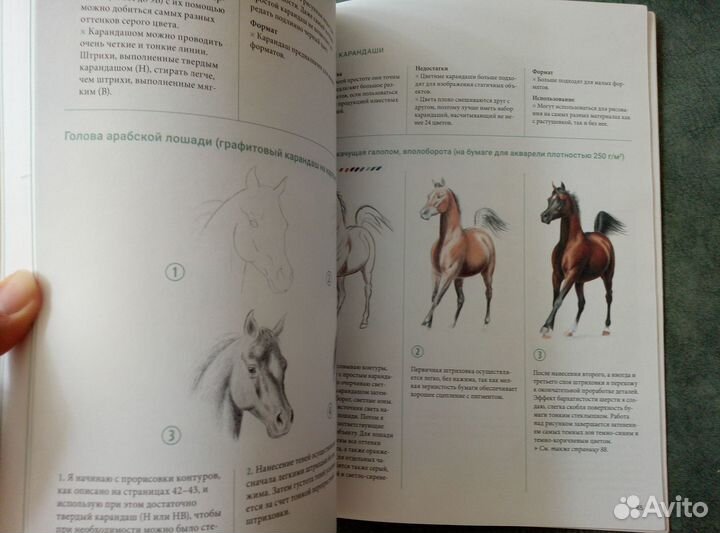 Книга Рисуем лошадей, Мари-Одиль Колатрелла