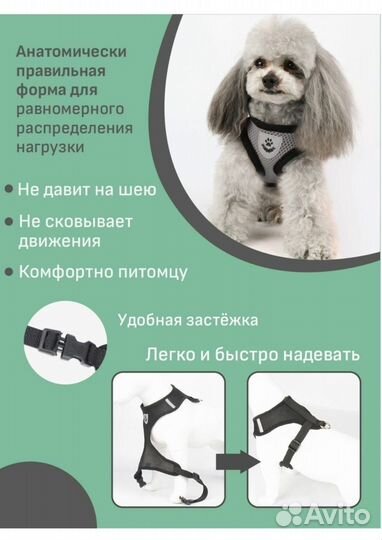 Шлейка для кошек и собак маленьких и ср. пород