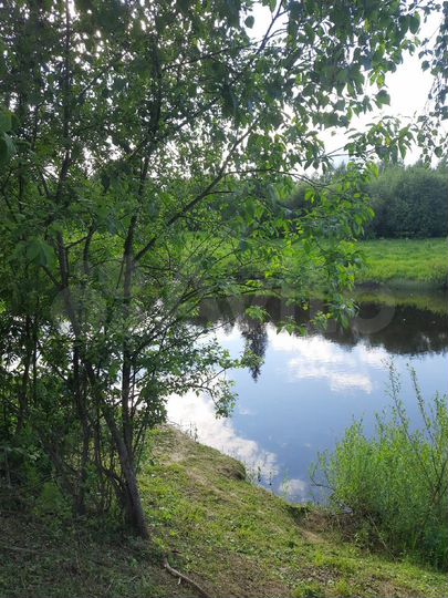 Участок 15,6 сот. (ИЖС)