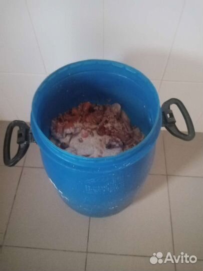 Пищевые отходы для животных