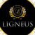 Ligneus