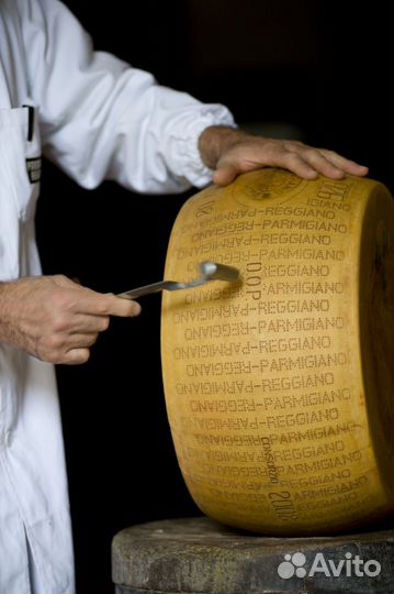 Пармезан. Parmigianino Опт