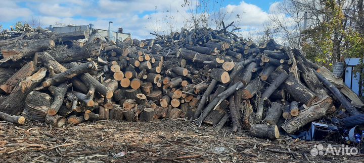 Дрова пилные 800 за 1 куб. Самовывоз