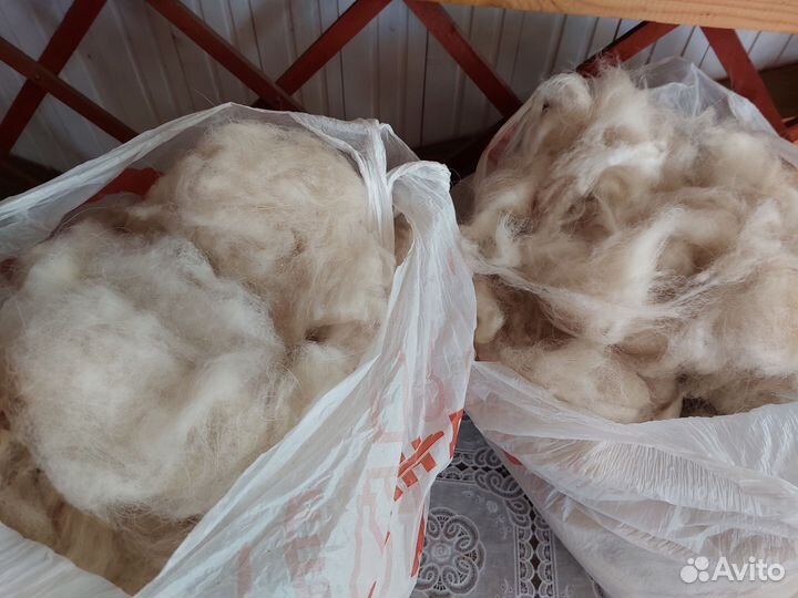 Собачья шерсть