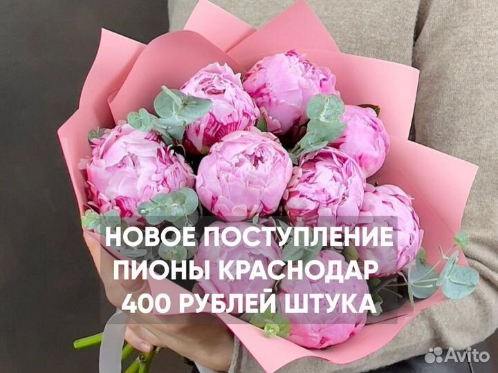 Пионы Доставка цветов букеты