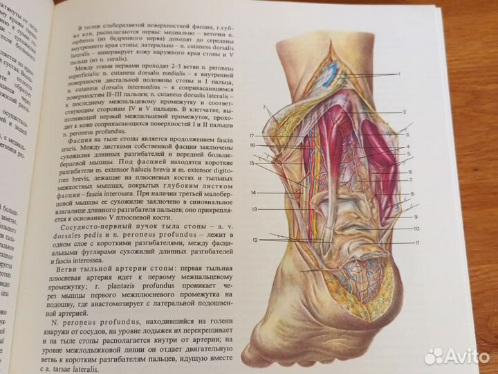 Книга оперативная хирургия и топографическая анат