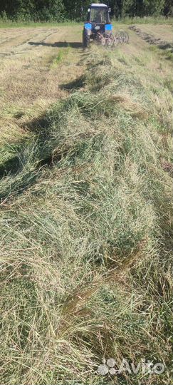 Продам сено в рулонах