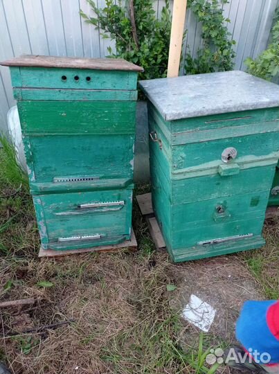 Улей. Рамки