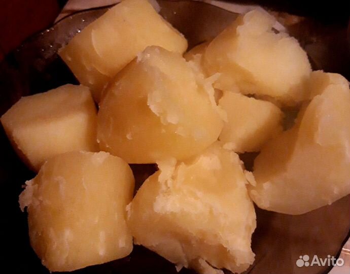 Картофель сорт Гала