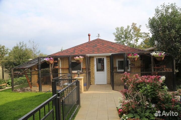 Зоогостиница, передержка домашних животных