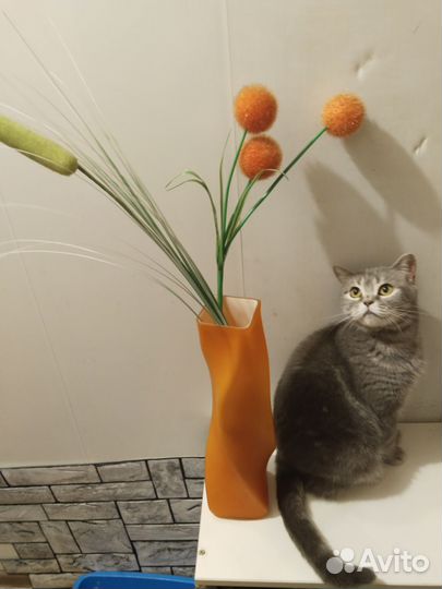 Ваза для цветов большая