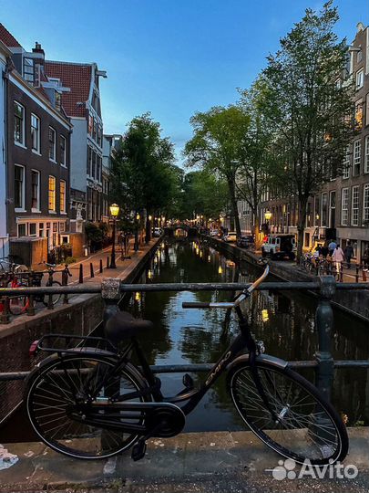 Парфюм Zielinski & Rozen Pink Pepper, Elemi