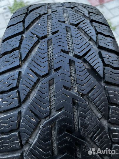 Tigar Winter 2.25/50 R17