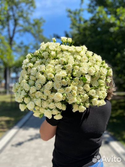 Кустовые розы 
