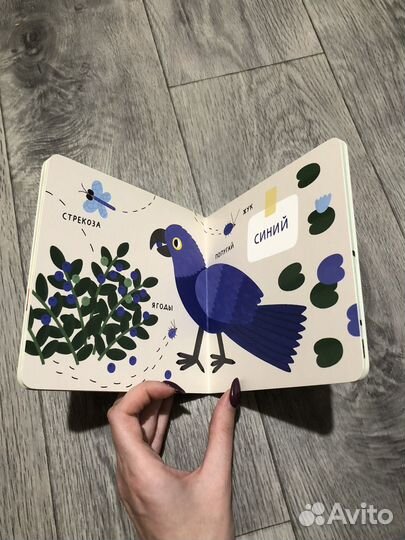 Книга цвета природа новая