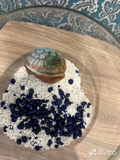 Аквариум с наполнениеи