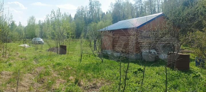 Участок 12,9 сот. (СНТ, ДНП)