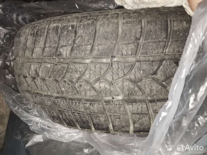 Tigar Winter 1 195/55 R16