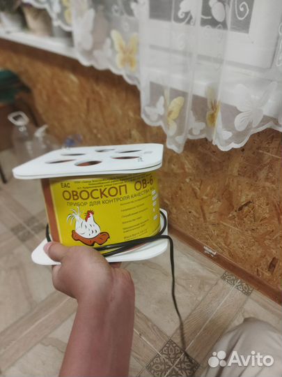 Овоскоп