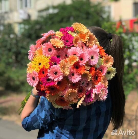 Яркие Букеты из Гербер. Цветы на Любой Повод