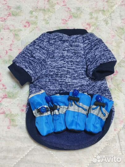 Одежда для собак