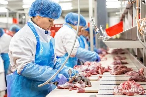 Разнорабочий на мясокомбинат