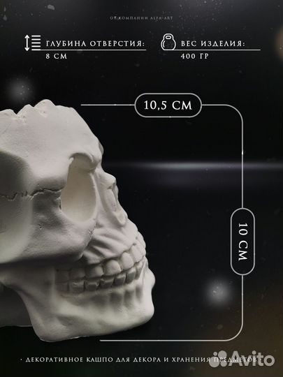 Кашпо Череп для суккулентов голова из гипса