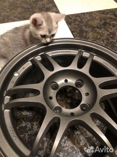 Kosei racing k1 r14 4:98