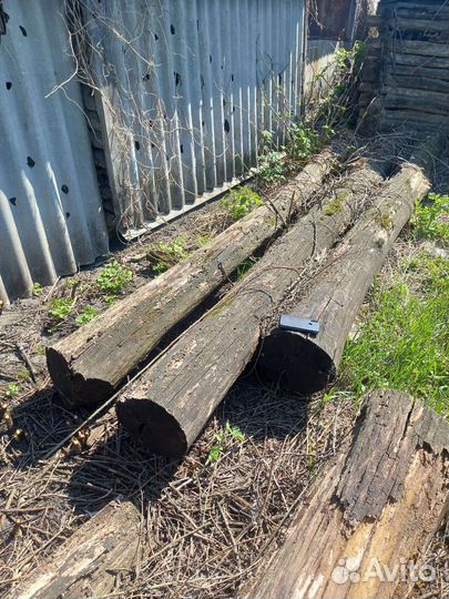 Бревна дубовые