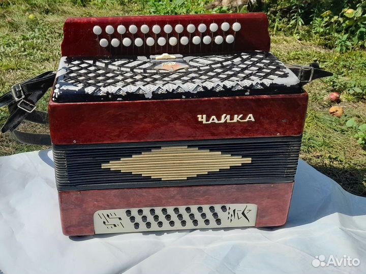 Гармонь чайка
