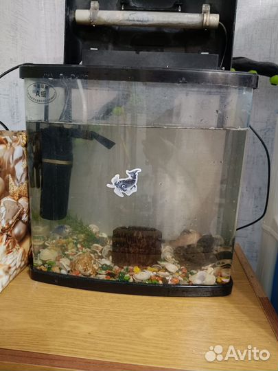 Аквариум