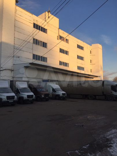 Холодильный Склад, 1274.9 м²