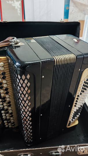 Баян тульский