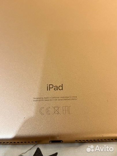 iPad 8