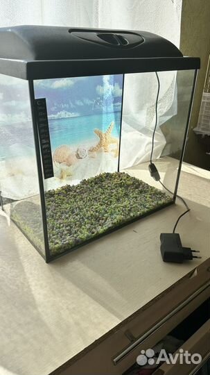 Аквариум